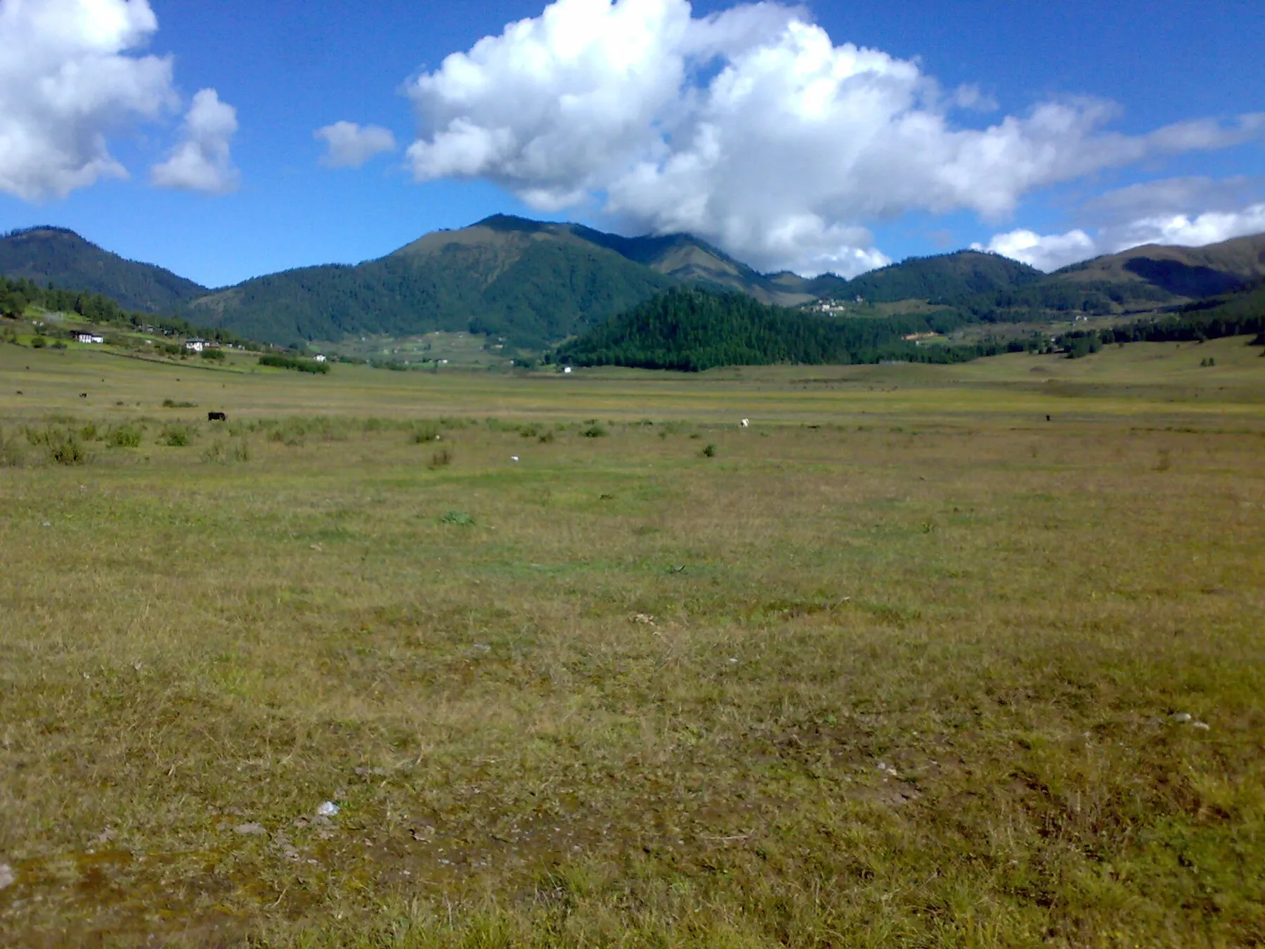 Phobjikha valley