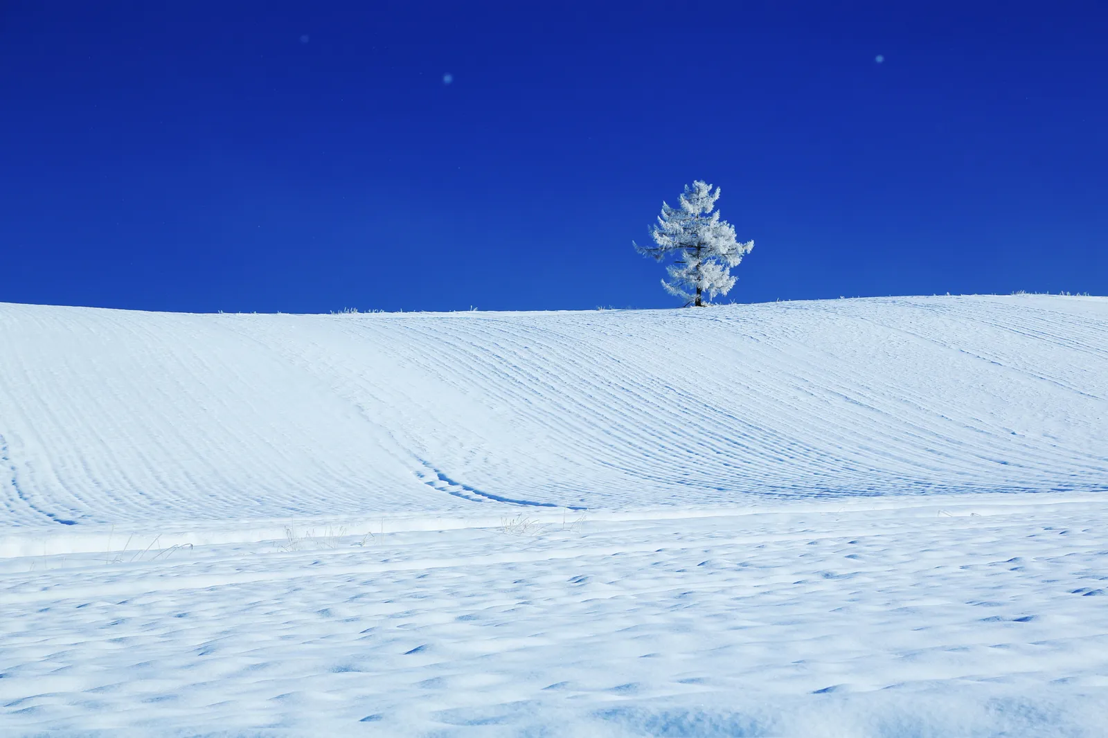 Hokkaido snow