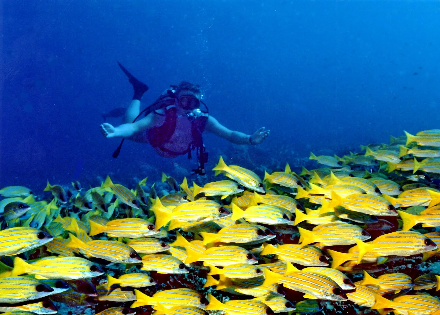 Coral reef light in the Maldives